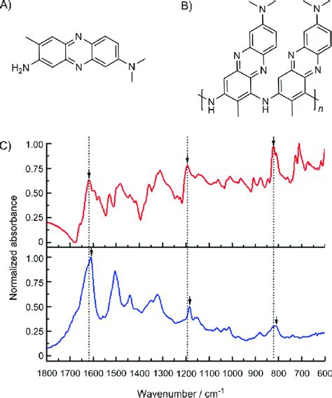 Image result for Neutral Red Absorbance Spectrum