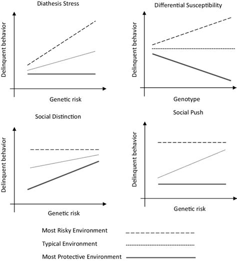 Environmental Interaction Graph に対する画像結果