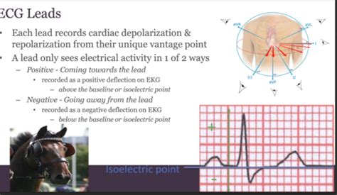 Image result for Positive and Negative Deflection