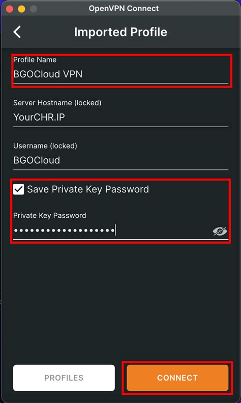 Image result for OpenVPN Profile Example