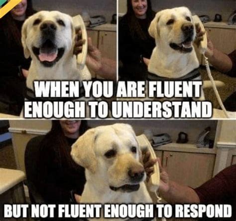 Image result for Learning Language Cartoon Meme