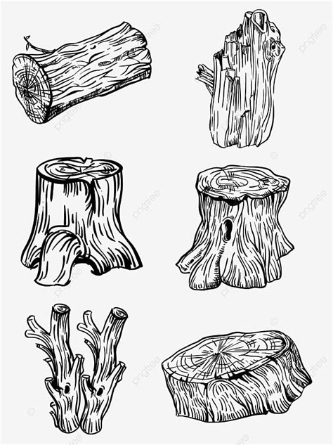 Realistic Tree Trunk Drawing に対する画像結果