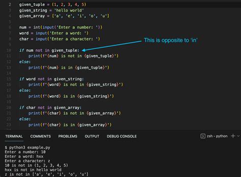 Toradh íomhá ar Cheacking Input Is Float or Not Python Operator Example