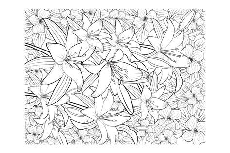 Seamless Floral Pattern Coloring Pages എന്നതിനുള്ള ഇമേജ് ഫലം