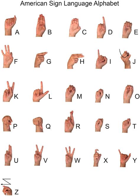 ASL Sign False に対する画像結果