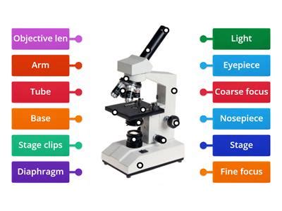 Image result for Defect Marking Under Microscope