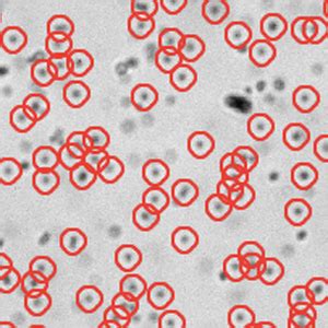 Image result for Particle Tracking Python