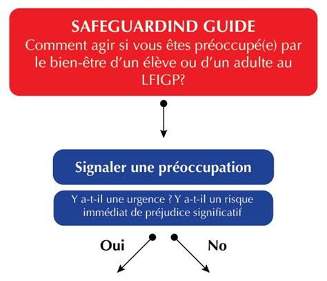Safeguarding Et Redevabilite に対する画像結果
