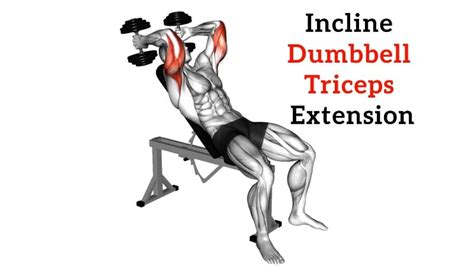 Image result for Seated Overhead Extension