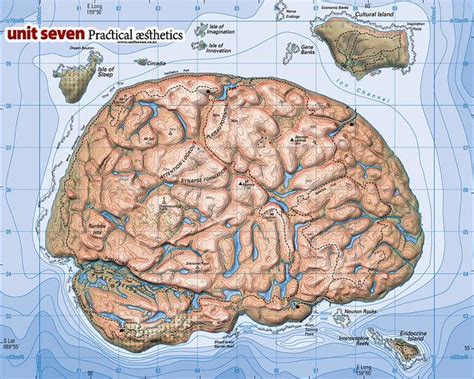 Image result for Human Memory Mind Map