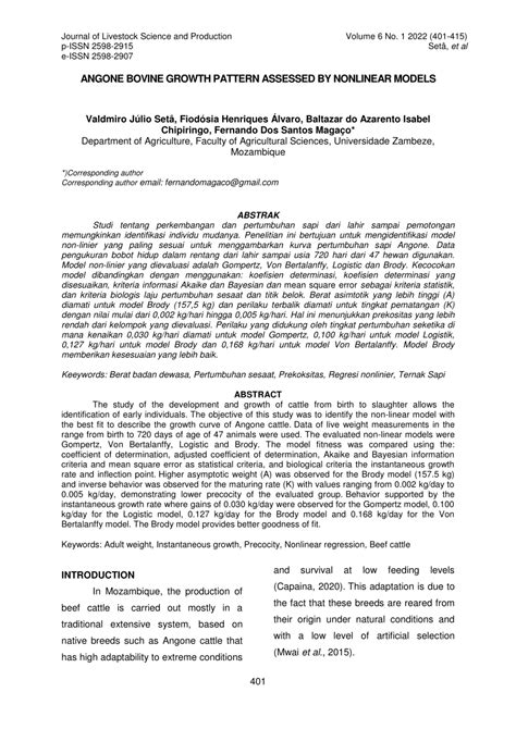 Pattern Nonlinear Animal에 대한 이미지 결과