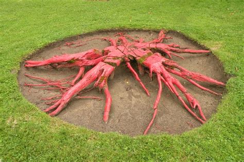 Bildergebnis für Tree Root Architecture