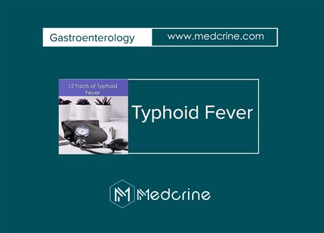 Image result for Typhoid Fever Disease