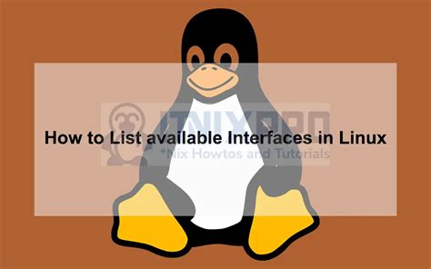Image result for Script Interfaces Linux