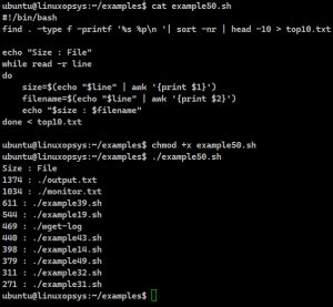 Toradh íomhá ar Simple Bash Script Examples