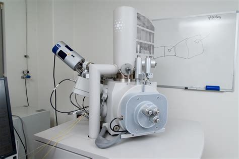 Image result for Scan Electron Microscope