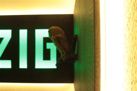 Image result for LED Light Up 15 Sign