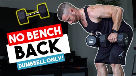 Back Dumbbell Exercises No Bench に対する画像結果