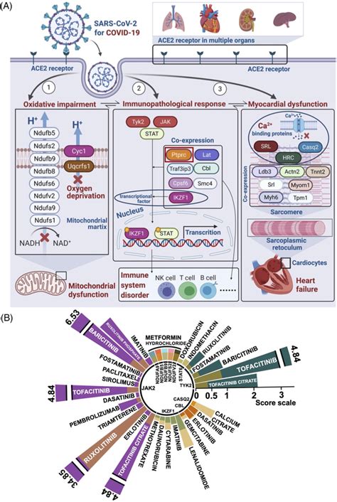 Image result for Gene Module