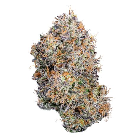 Alien Planet Planetary Sunrise Red に対する画像結果