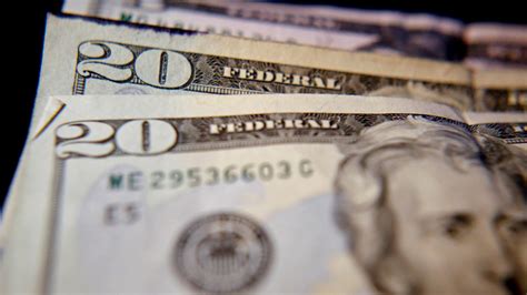 Image result for New $20.25