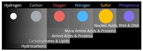Image result for 5 Elements of Life Chart