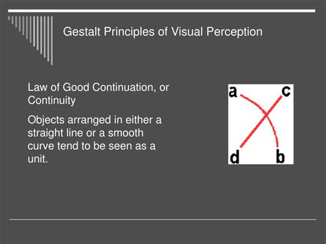 Image result for Visual Perception Psychology. Examples