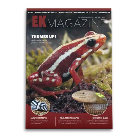 Reptile Books ಗಾಗಿ ಇಮೇಜ್ ಫಲಿತಾಂಶ