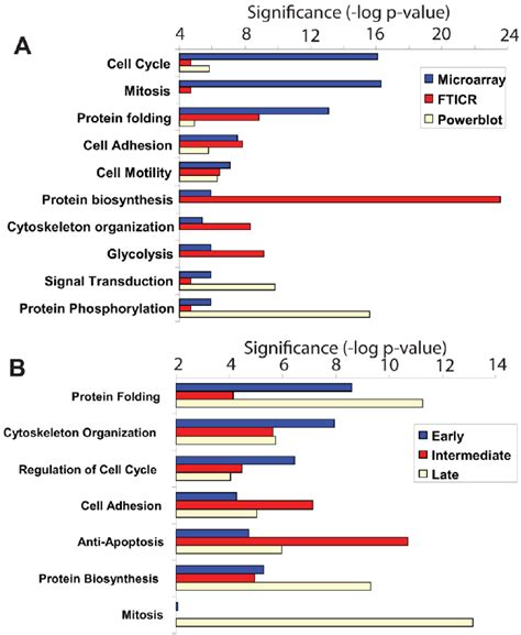 Image result for Popular Cell Processes