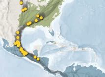 Image result for Pollinator Migration Patterns