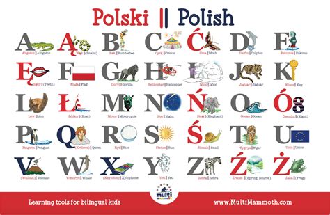 Image result for Polish-English Differences