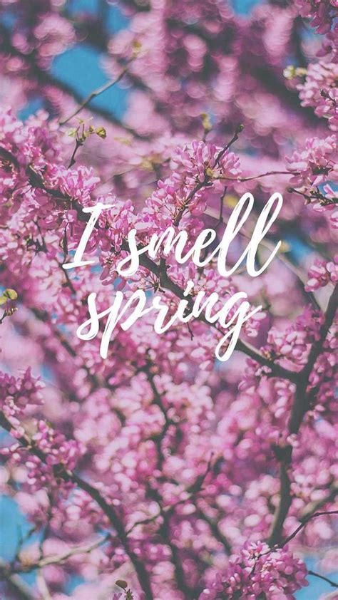 Image result for Background Spring