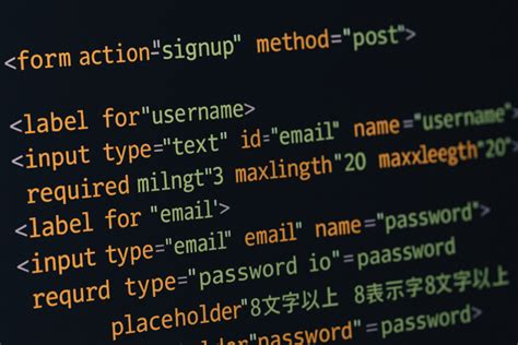 Input Tag in HTML に対する画像結果
