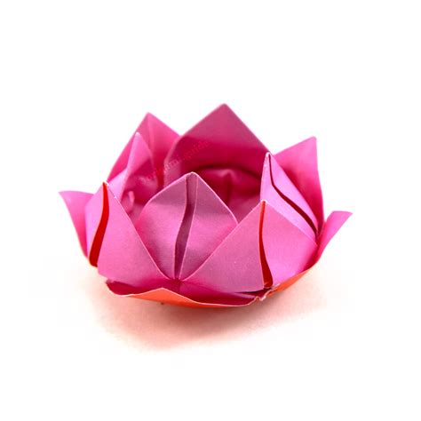 Image result for Origami Lotus Flower Tutorial