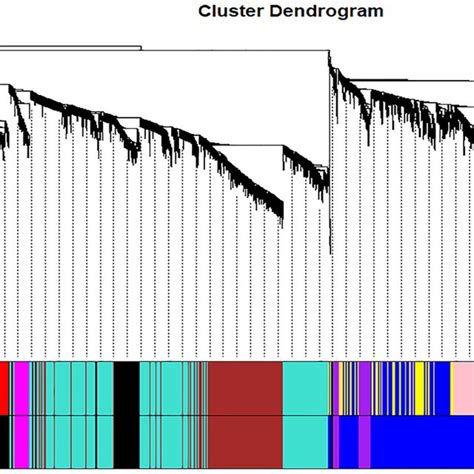 Image result for Dendrogram Heatmap