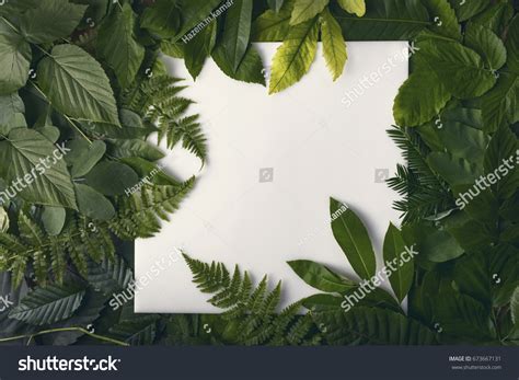 Image result for Felection Paper Creative Layout