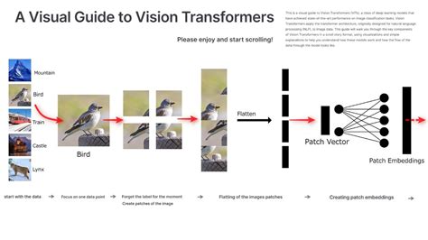 Vision Transformer Key Query に対する画像結果