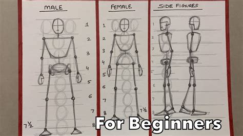 Image result for How to Draw Humans for Beginners