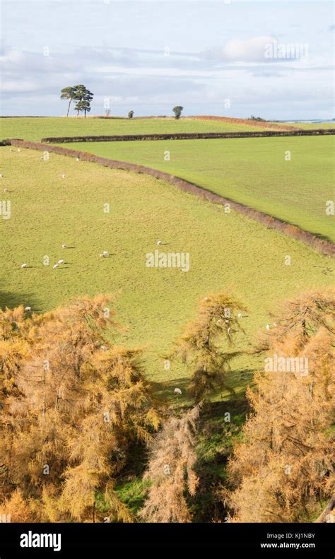 Image result for Welsh Border with England