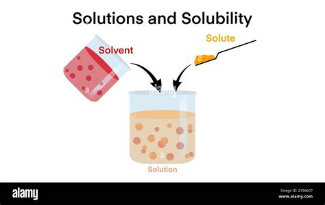 Image result for Solution vs Solvent
