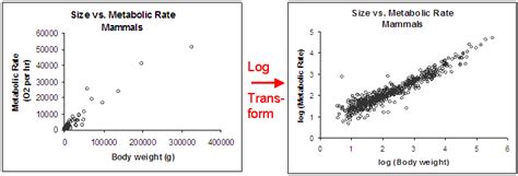 Image result for Graphing Log Transformation