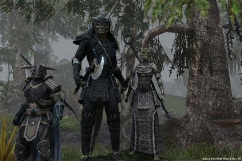 Image result for Eso Beginner Guide