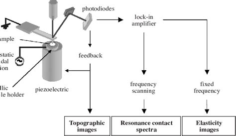 Image result for Atomic Force Microscope Operation Mode