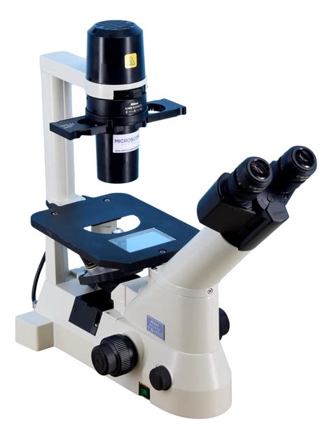 Image result for Inverted Phase Contrast Microscope Camera