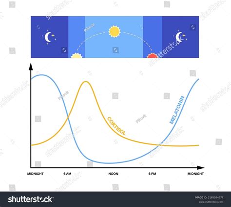 Image result for Circadian Rythm Architectural Design