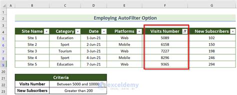 Image result for How to Filter Multiple Values in Excel