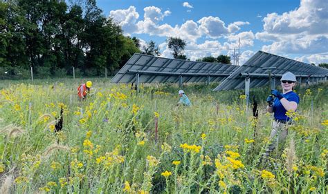 Top Environmental Science Graduate Programs に対する画像結果