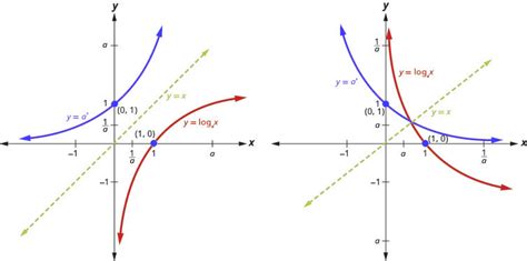 Logarithmic Curve に対する画像結果