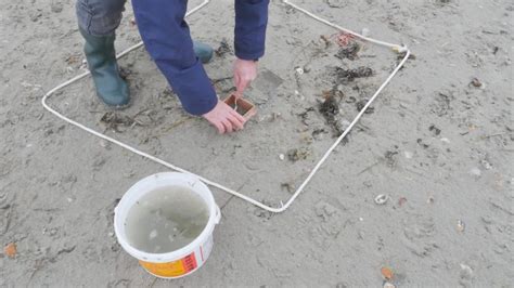 Composite Sampling at Beach に対する画像結果