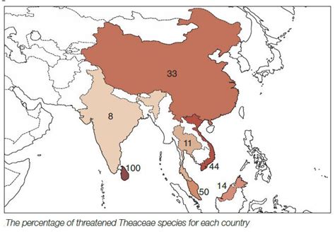 Toradh íomhá ar Tea Species